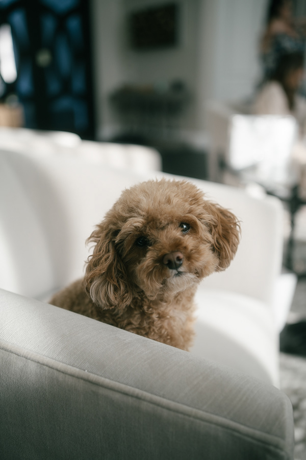 5d93b660-e0b0-4649-9195-e787aae1a649_rw_600