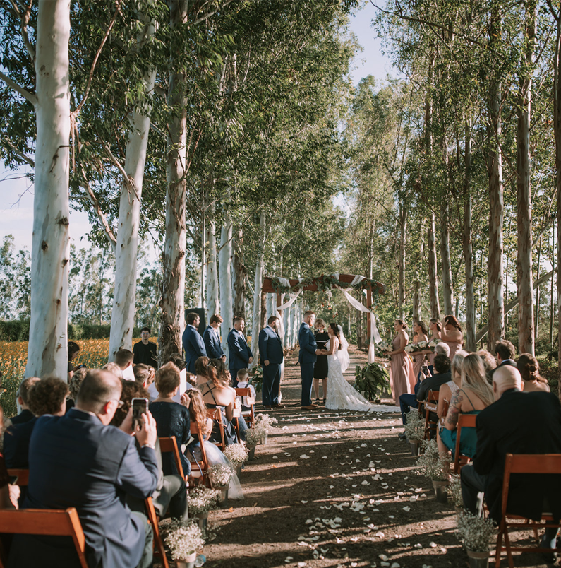 A Farm Wedding 01