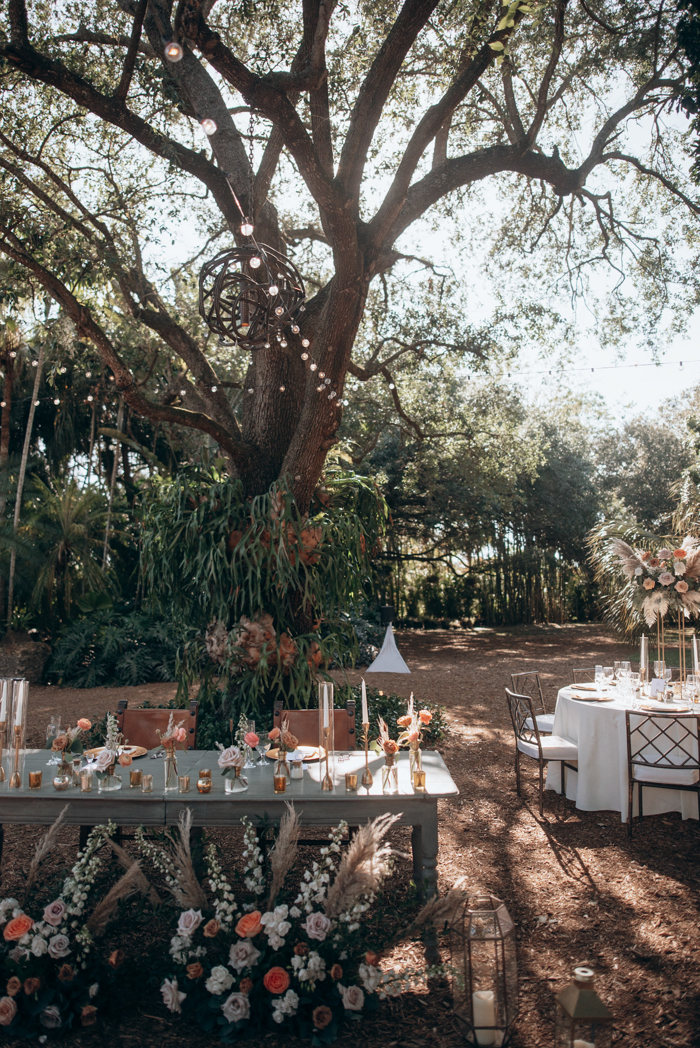 b2e1e8e9-aa89-472b-ab9b-1ca6d6ee0fcc_rw_1920