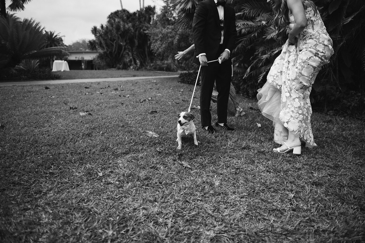 e0cfb16a-767b-4142-9d9a-a19ea99cb150_rw_1200