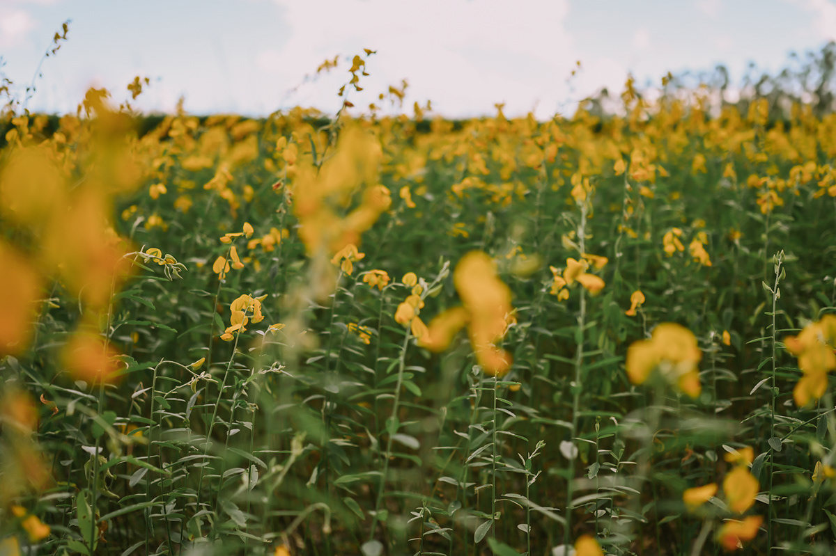 e4067c17-5a95-4ffa-82f5-224dc26ae18d_rw_1200